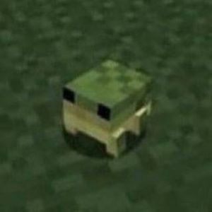 Meet your Posher, Ella